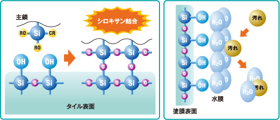 タイル表面と塗膜表面のイメージ図