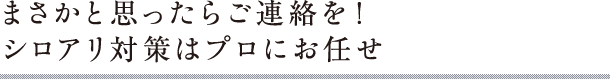 まさかと思ったらご連絡を！シロアリ対策はプロにお任せ